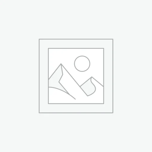woocommerce-placeholder JOYSTICK INALÁMBRICO GXTRUST 1246W MUTA PARA NINTENDO SWITCH BLANCO